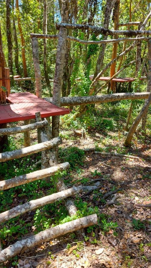 Hotel Lodge Las Cascadas Puerto Clocker Exteriör bild